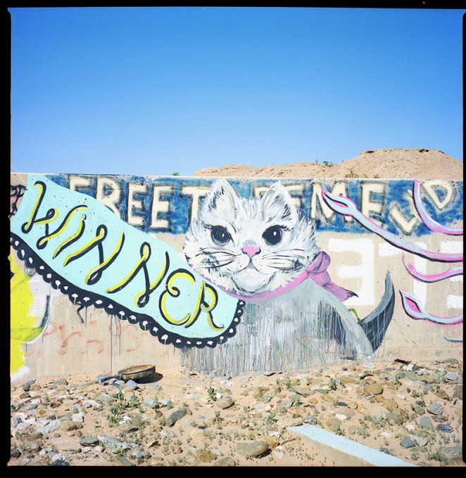 cat_winner