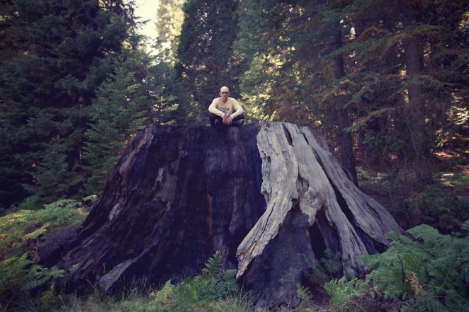 giant_sequoias 231