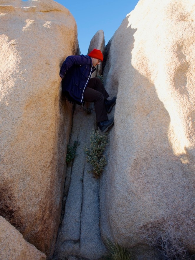 joshua tree 5