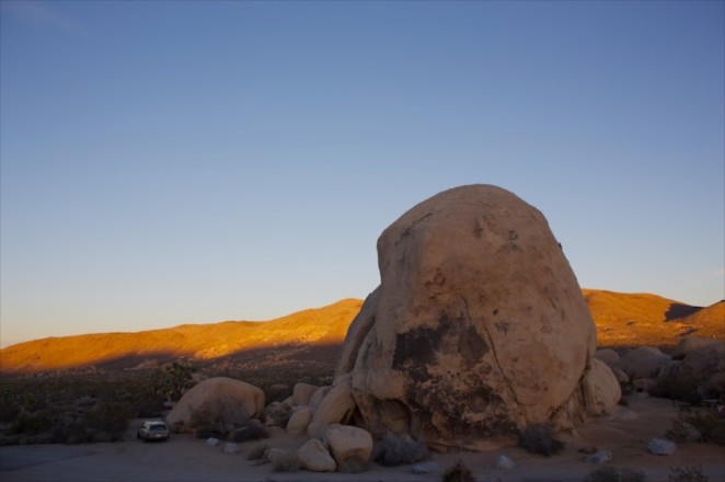 joshua tree 6