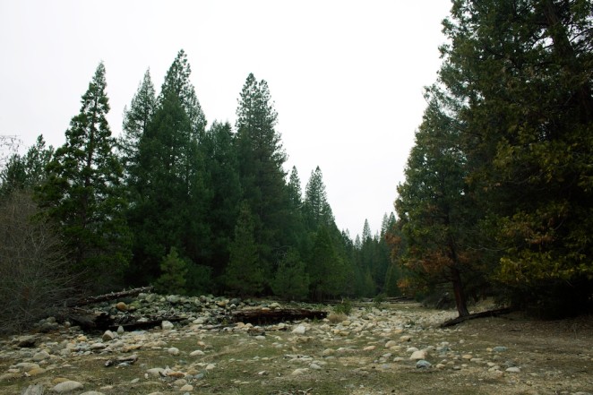 wawona yosemite cabin 6 11