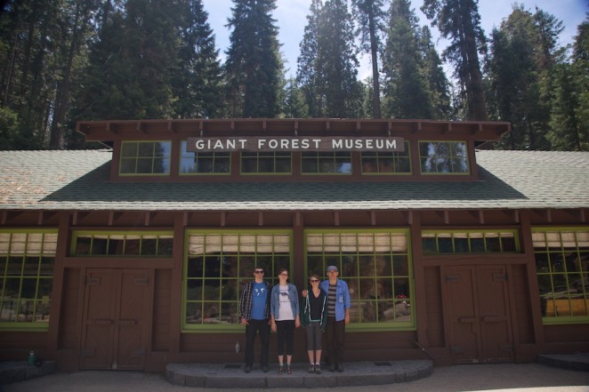 giant forest museum