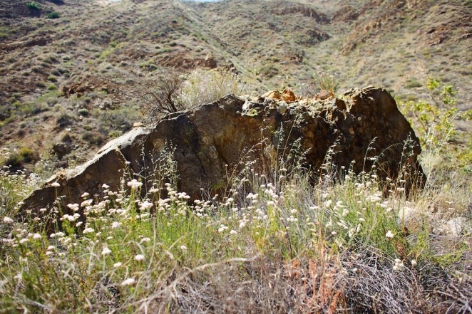 fish canyon narrows