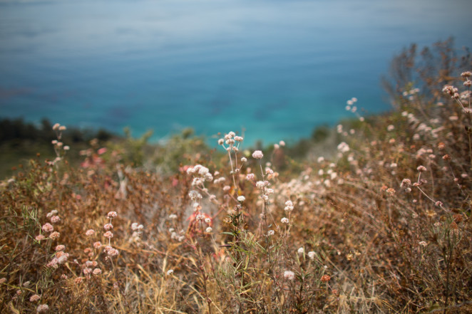 vicente flats hike-7