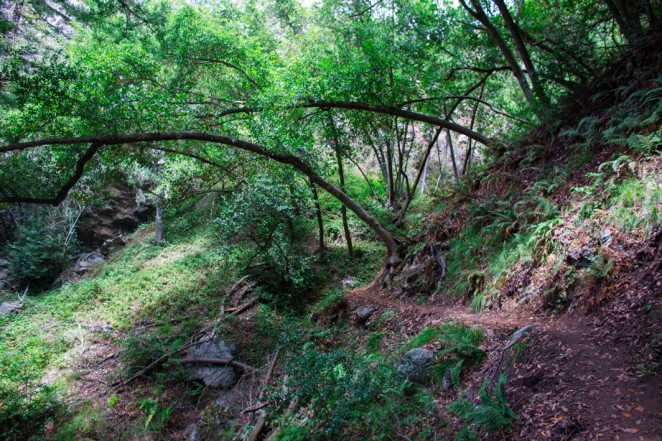 vicente flats hike-8