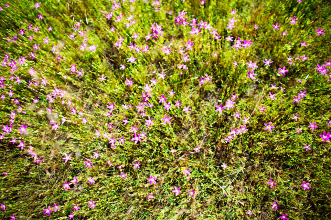 yosemite_mono_lake-6