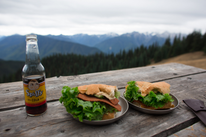 hurricane ridge-1