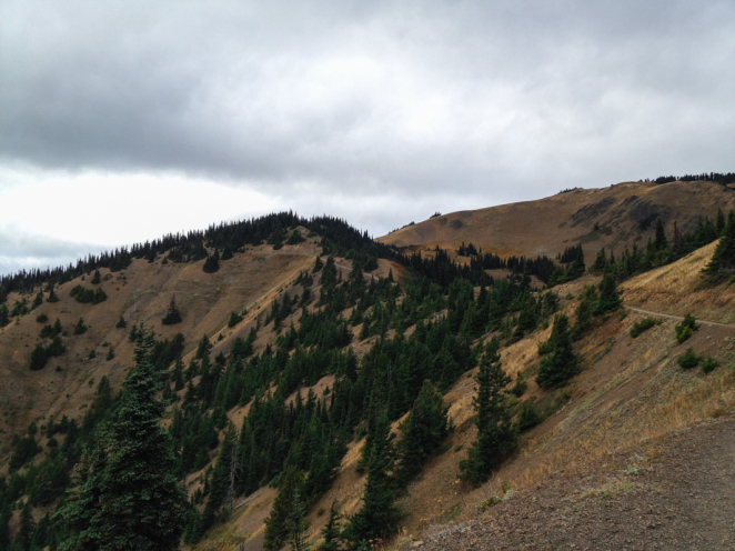 hurricane ridge-11