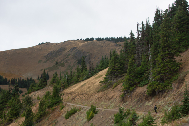 hurricane ridge-3