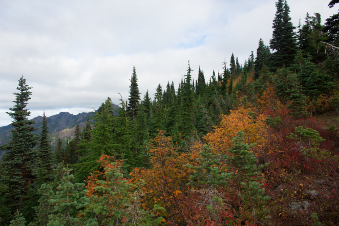 hurricane ridge-6