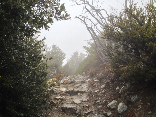 mt baldy ski hut-5