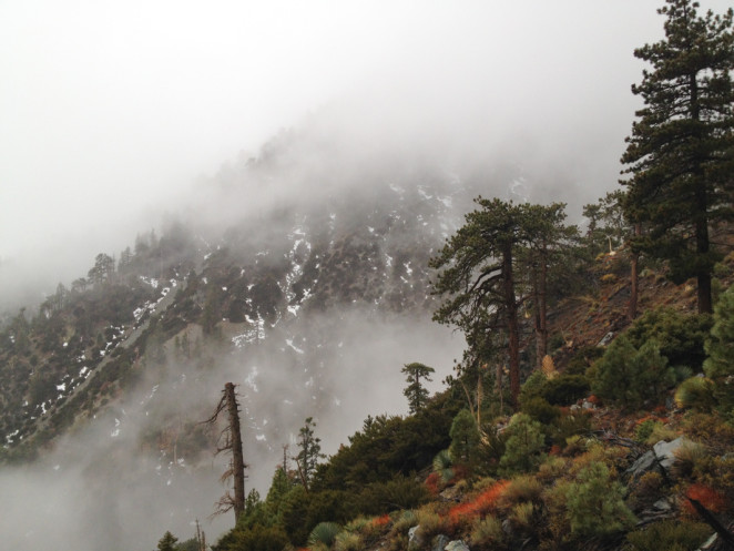 mt baldy ski hut-7