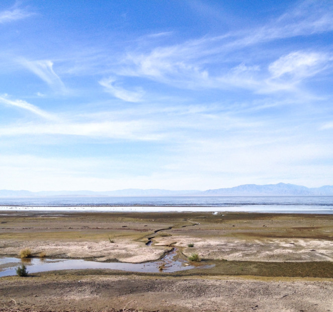 salton sea-10