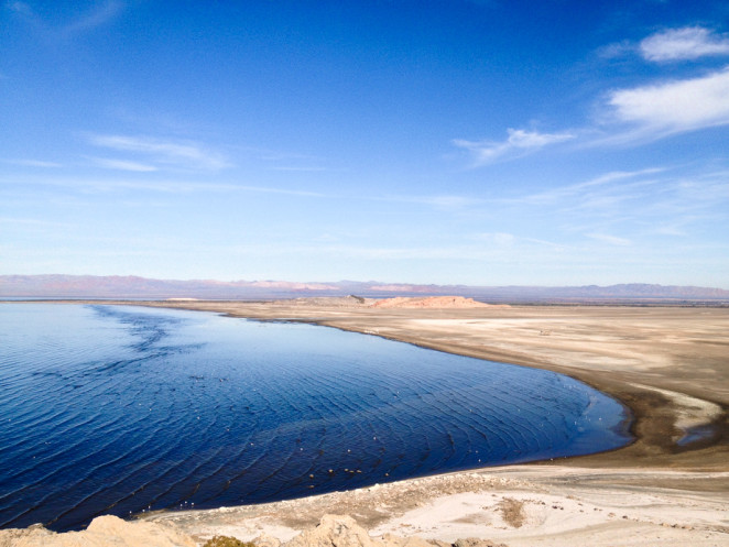 salton sea-8