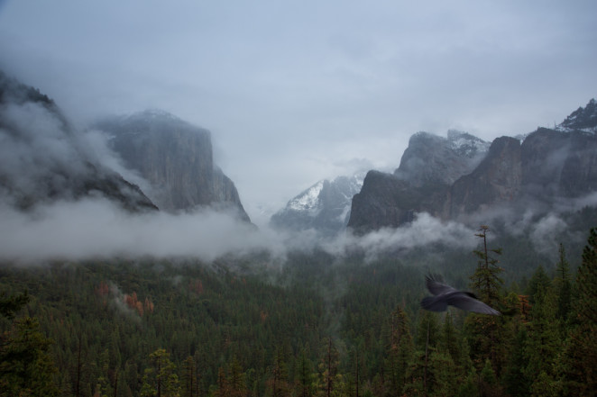 yosemite winter-1