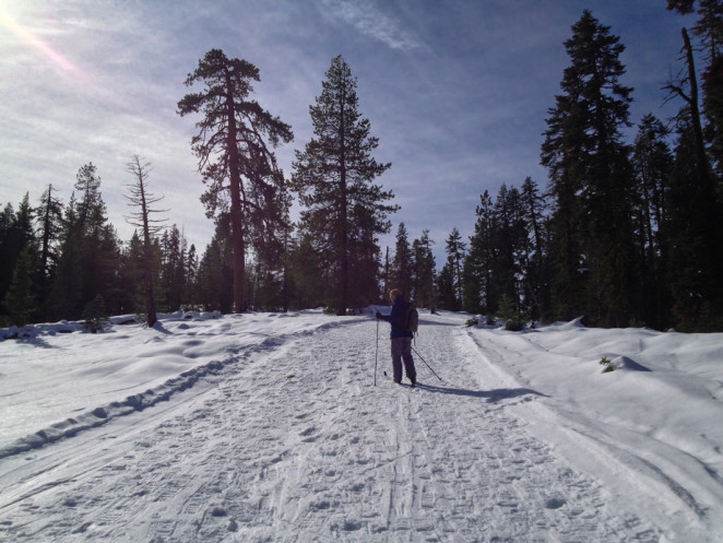 yosemite winter-5-2