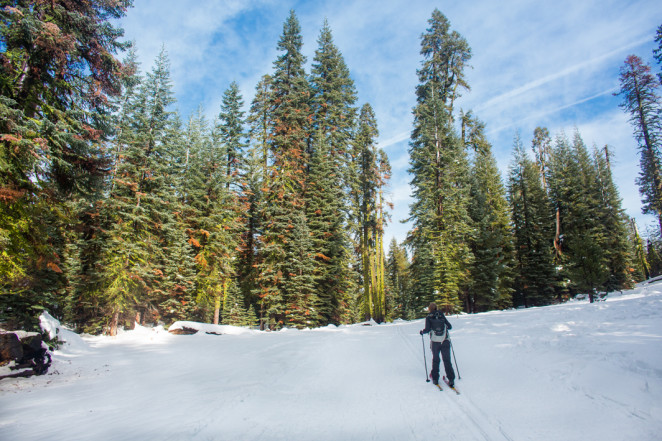 yosemite winter-5