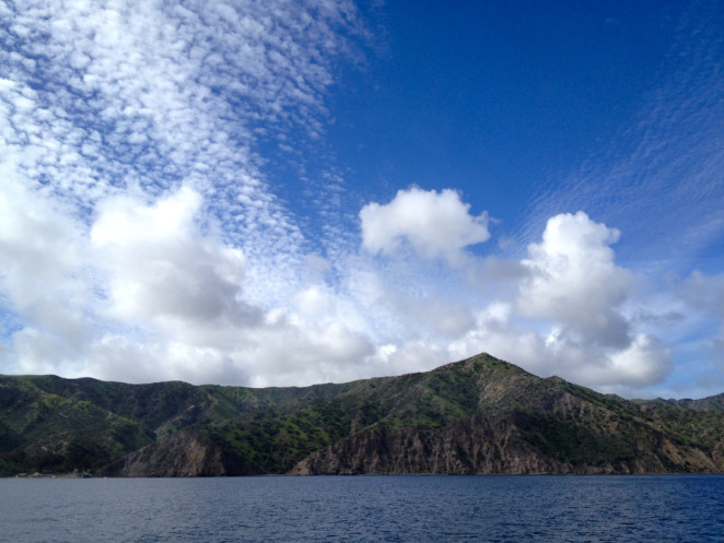 catalina parsons landing-1