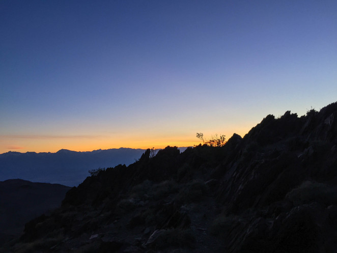 bristlecone pine forest-21