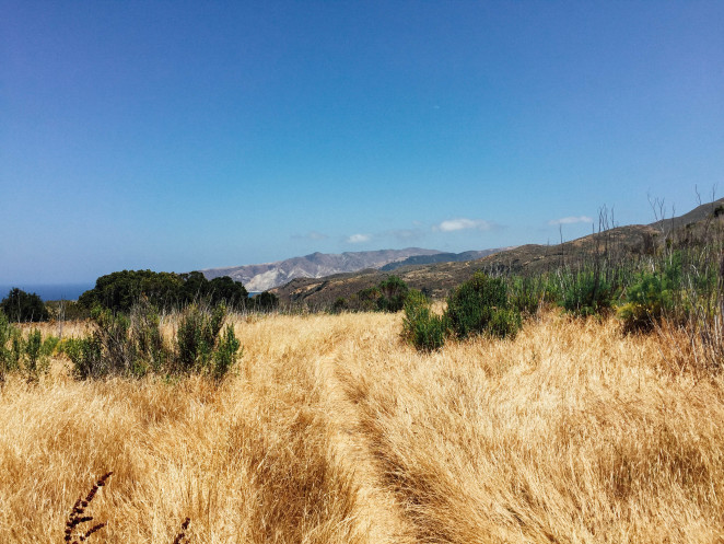 santa cruz island-3